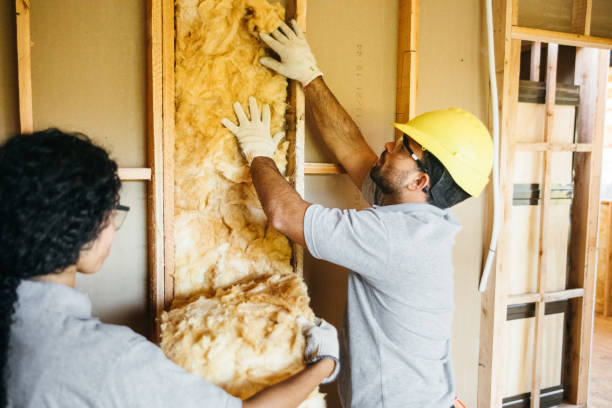 Best Insulation Repair Services  in USA